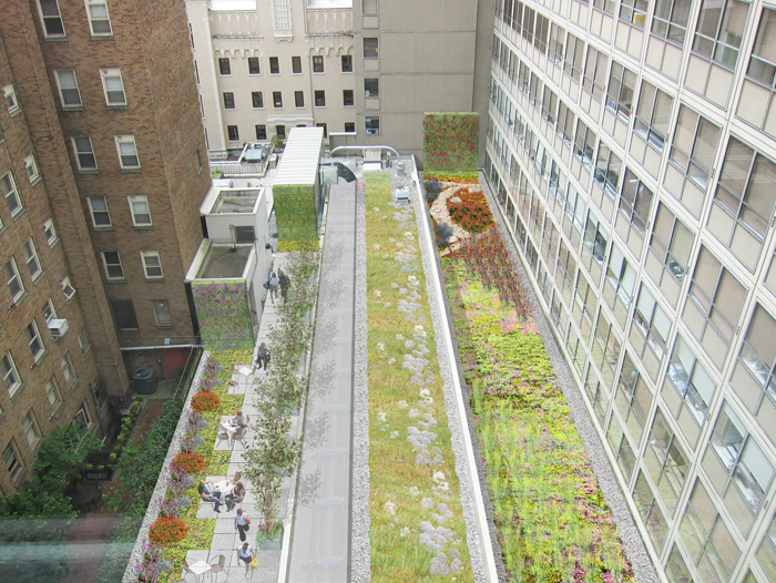 VMMC – Green Roof Study